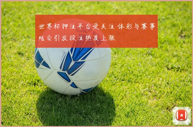 世界杯押注平台受关注 体彩与赛事结合引发投注热度上涨