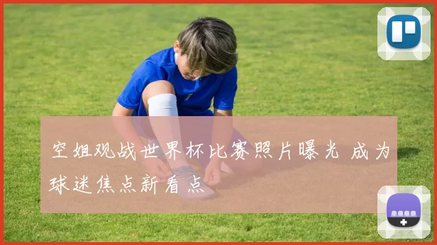 空姐观战世界杯比赛照片曝光 成为球迷焦点新看点