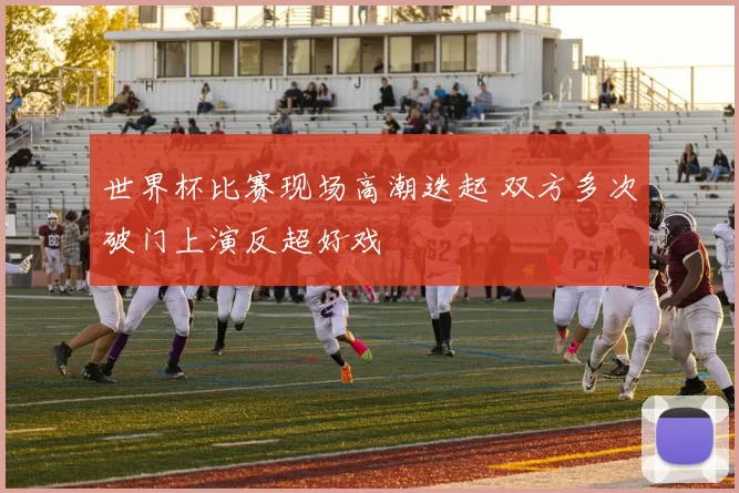 世界杯比赛现场高潮迭起 双方多次破门上演反超好戏