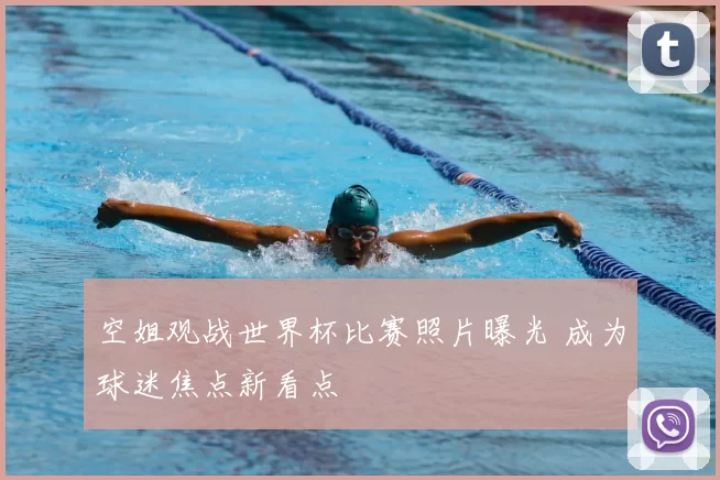 空姐观战世界杯比赛照片曝光 成为球迷焦点新看点